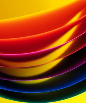 Hojas de colores