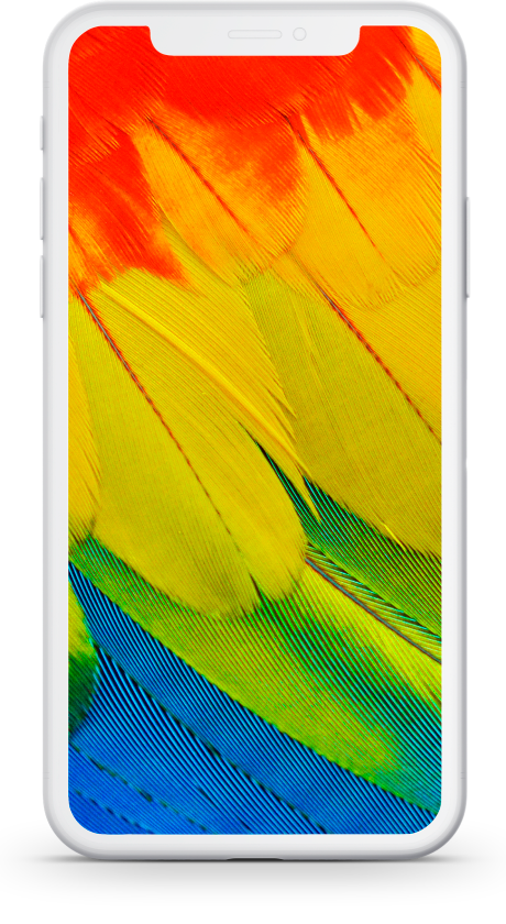 Imagen de mobile