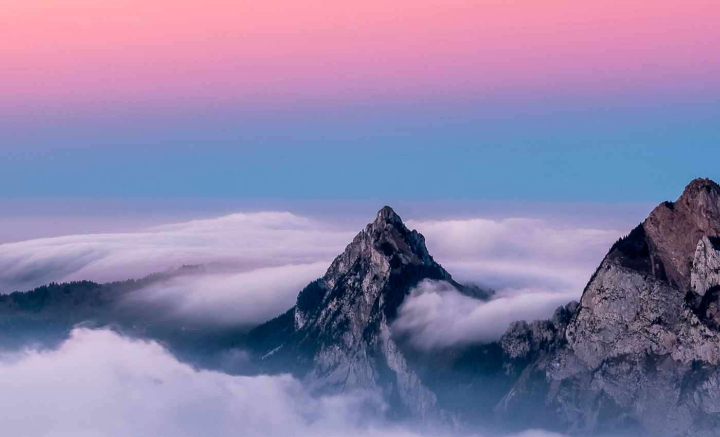 Wild Landscape