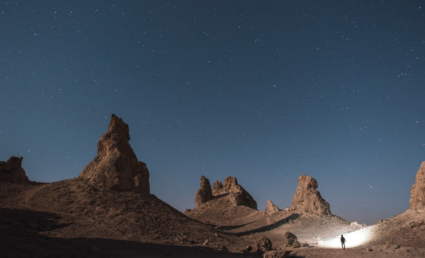 Wild Landscape