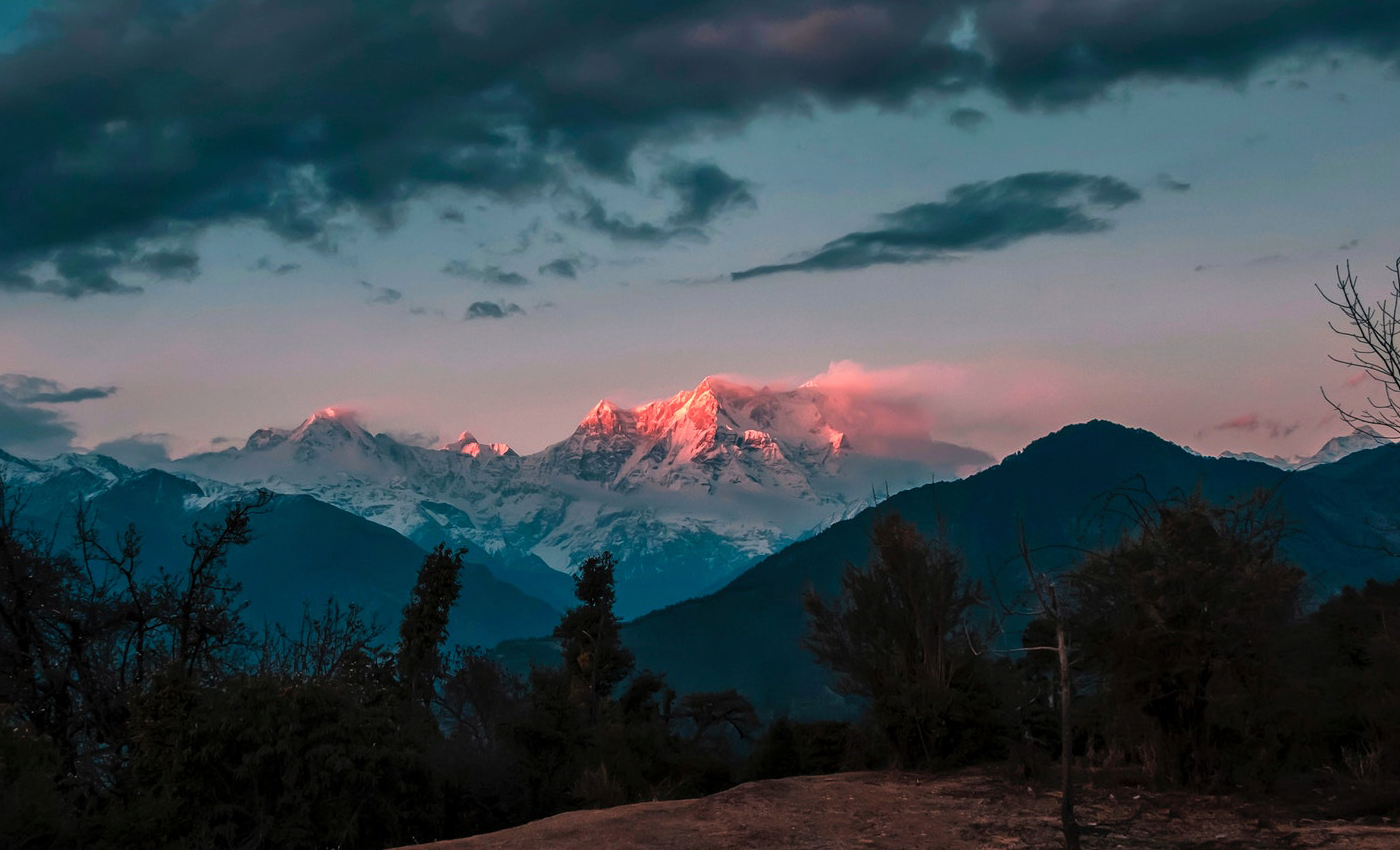 Wild Landscape