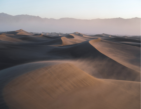 Desierto